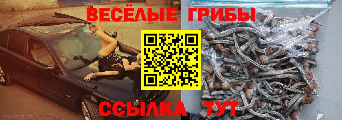 Псилоцибиновые грибы прущие грибы Аргун