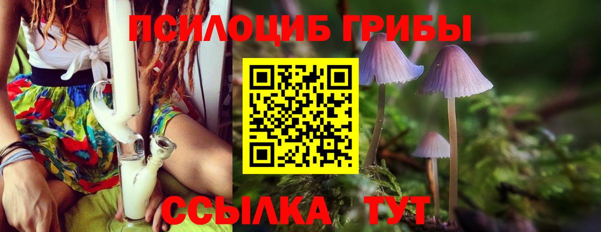 Галлюциногенные грибы мицелий  Вход с VPN  Аргун 