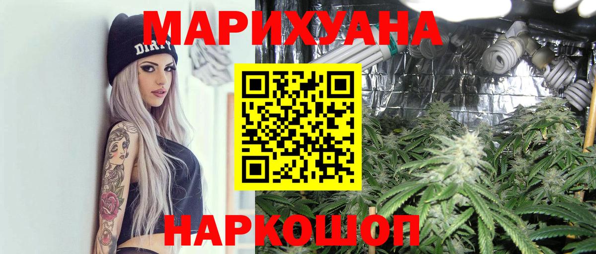 Аргун  Бошки марихуана Ganja  Бошки Шишки планчик  Канабис Amnesia  Вход с VPN 