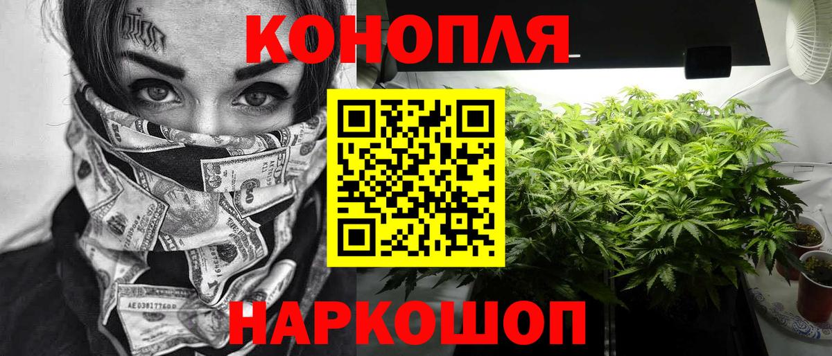 Бошки марихуана план Аргун